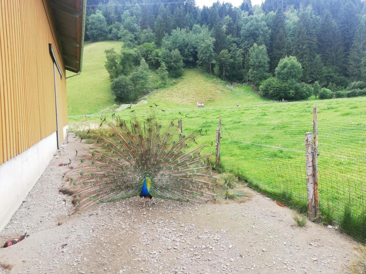 Böglerhof Lägenhet Uderns Exteriör bild