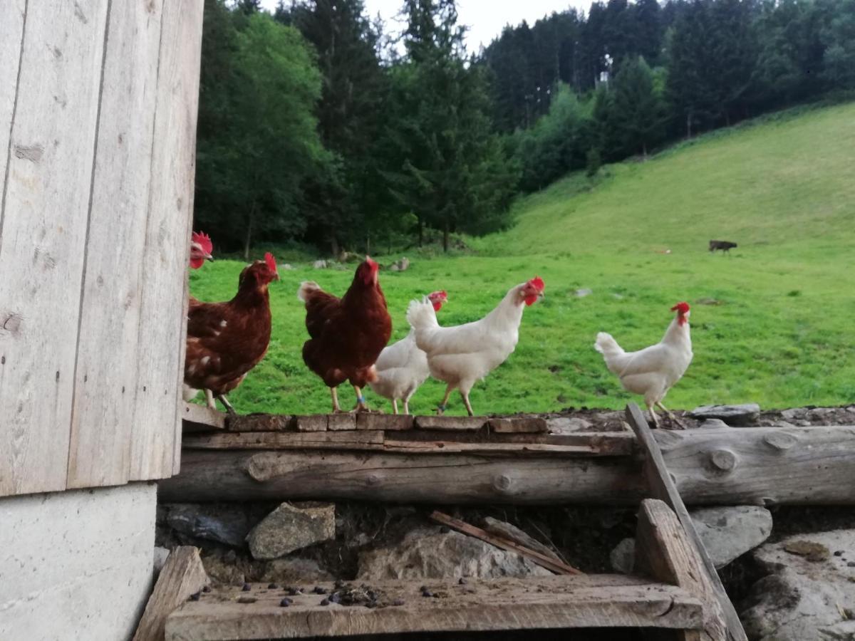Böglerhof Lägenhet Uderns Exteriör bild