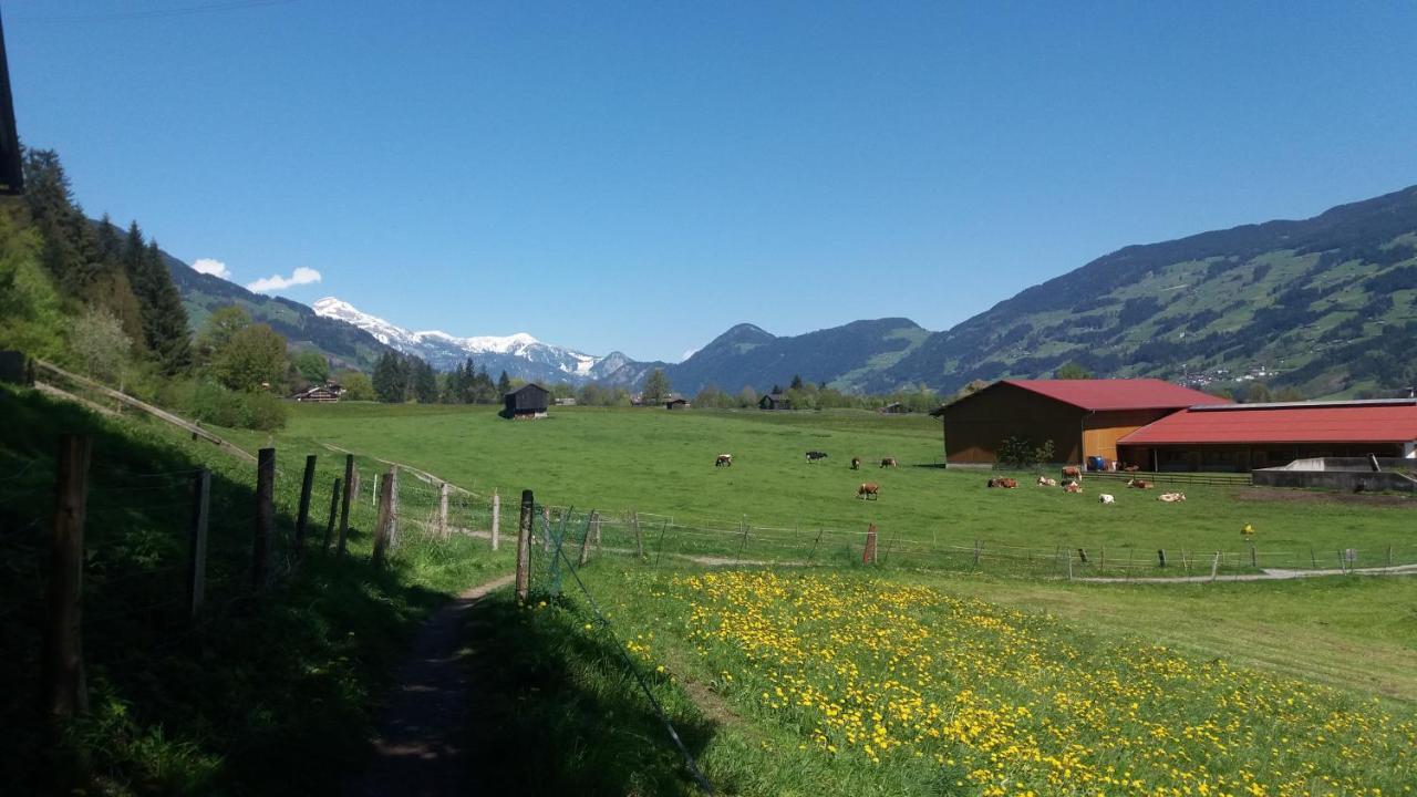 Böglerhof Lägenhet Uderns Exteriör bild