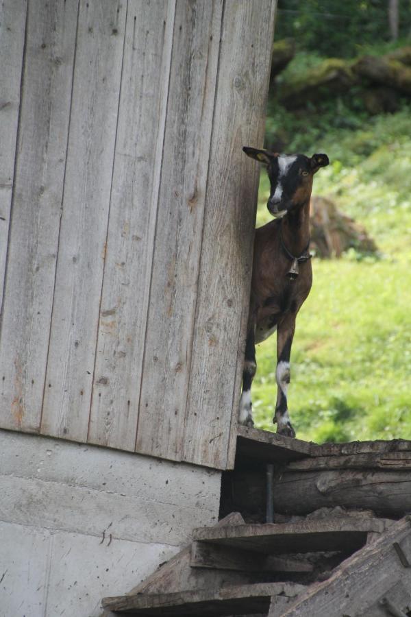 Böglerhof Lägenhet Uderns Exteriör bild