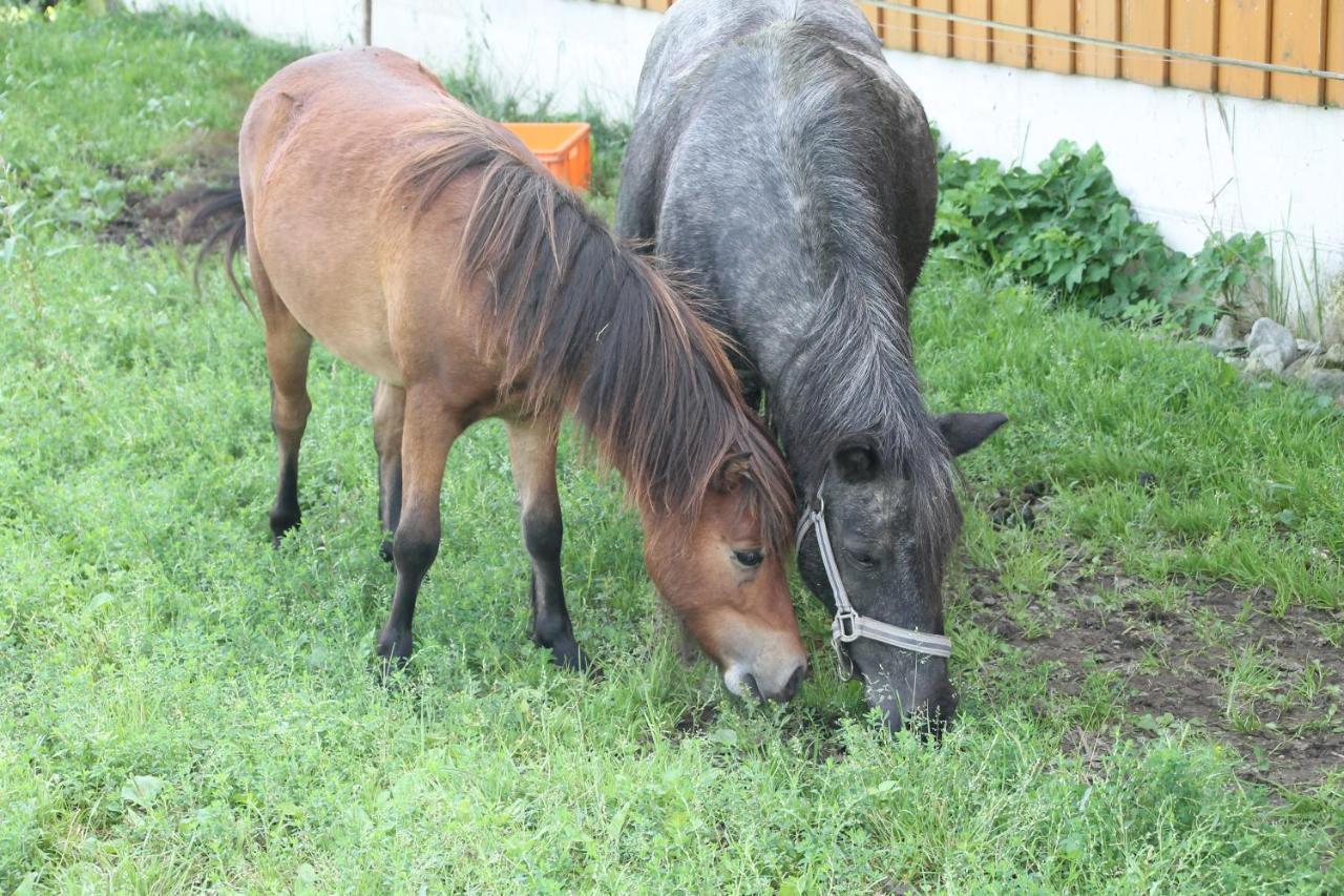 Böglerhof Lägenhet Uderns Exteriör bild
