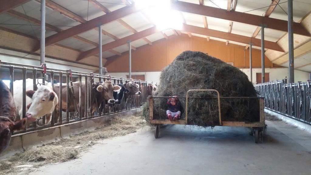Böglerhof Lägenhet Uderns Exteriör bild
