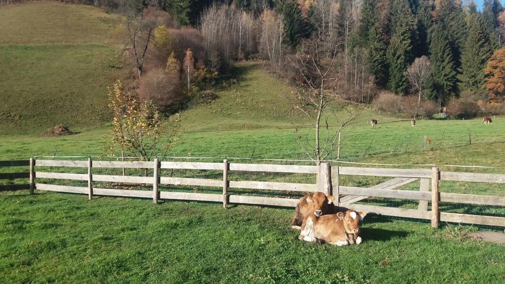 Böglerhof Lägenhet Uderns Exteriör bild